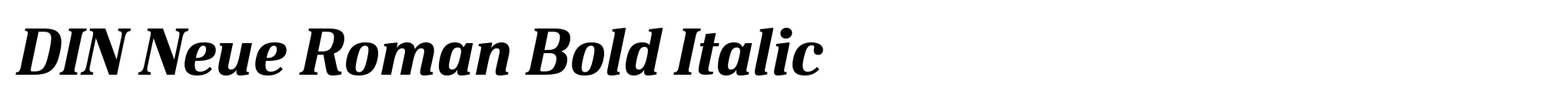 DIN Neue Roman Bold Italic image
